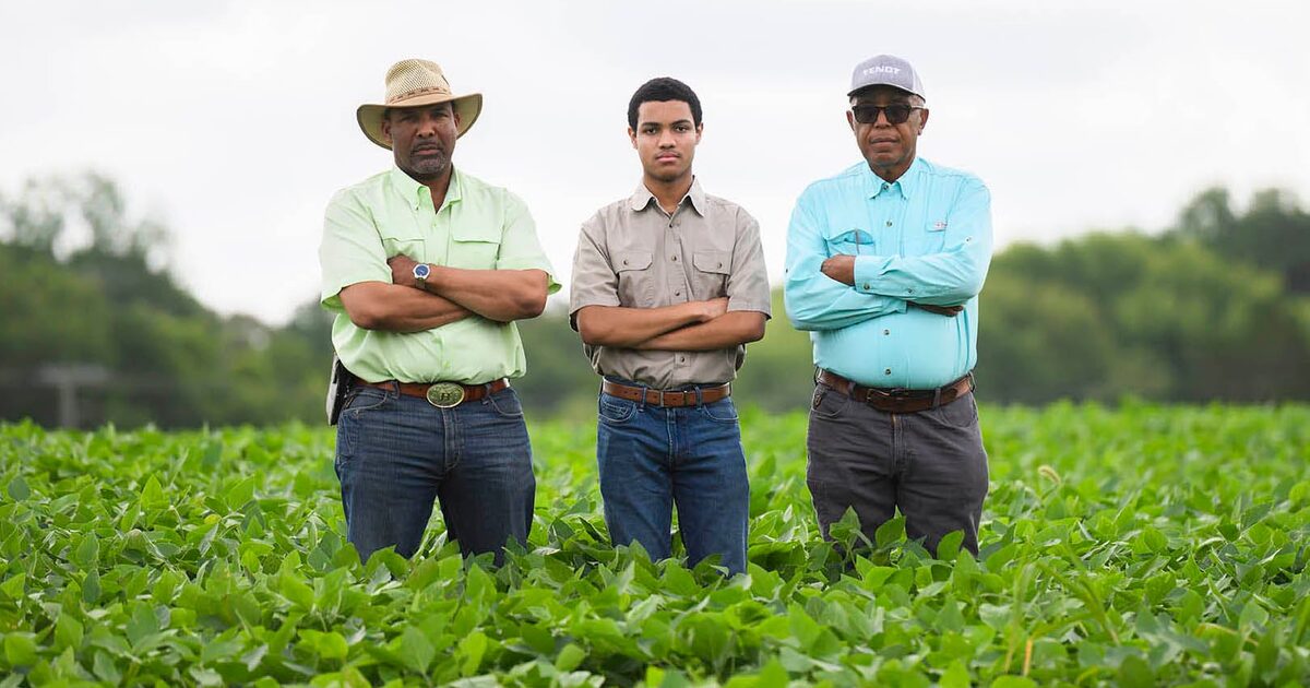 Black Farmers, USDA Loans, and the Bankruptcy Angle Explained