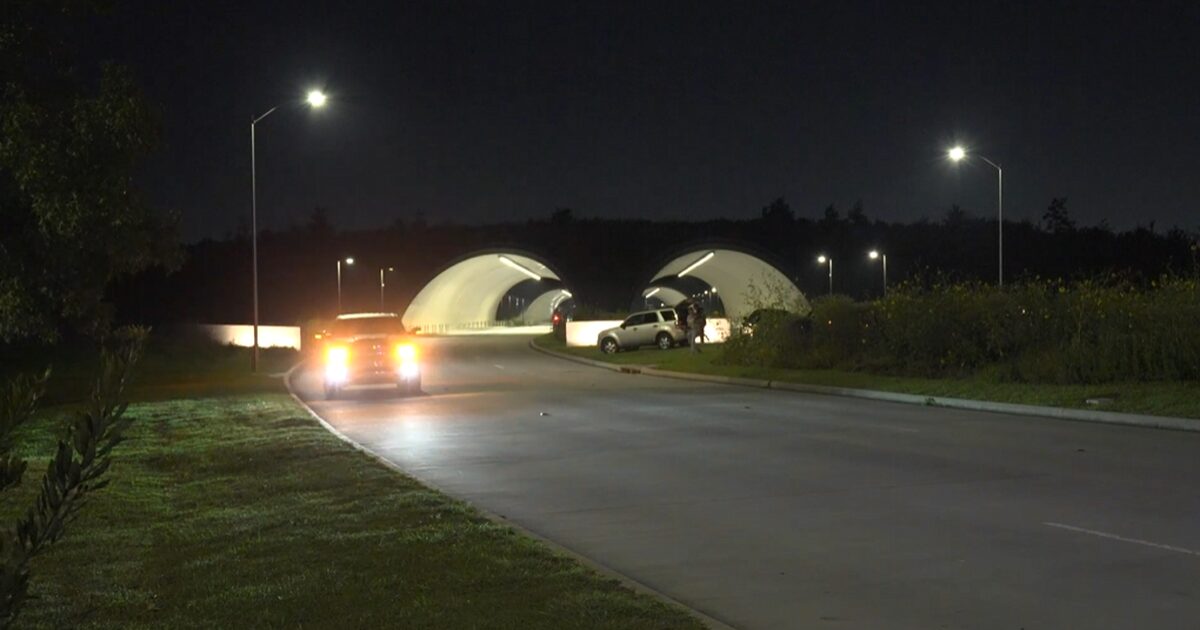 Houston Motorcycle Crash: What Single-Vehicle Deaths Mean Legally
